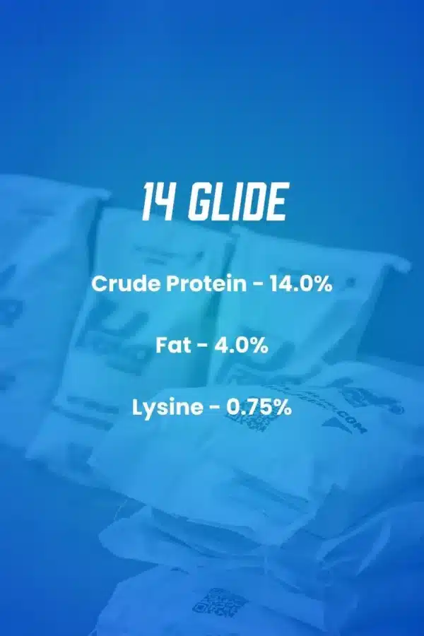14 glide