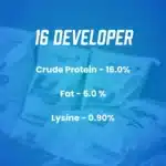 16 developer