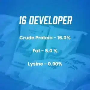 16 developer
