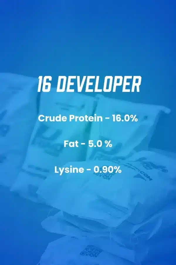 16 developer