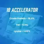 18 accelerator