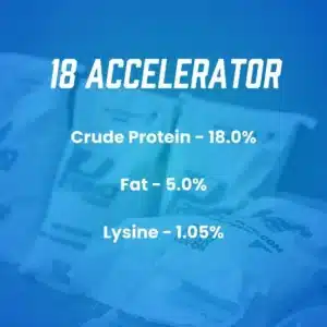 18 accelerator