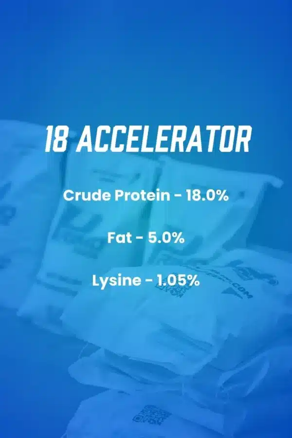 18 accelerator