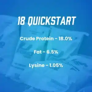 18 quickstart