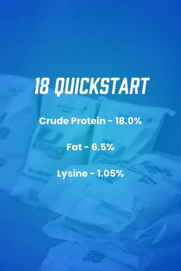 18 quickstart