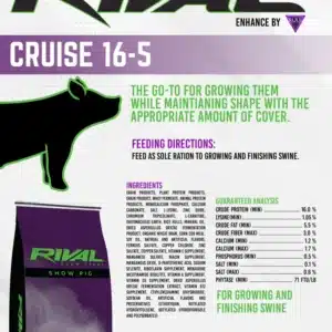 cruise 16 5