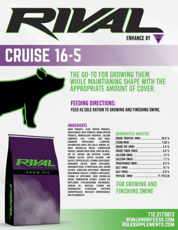 cruise 16 5