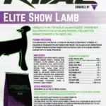 show lamb 16% b30