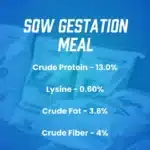 gestation product infographic