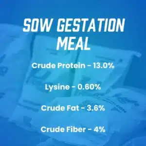gestation product infographic