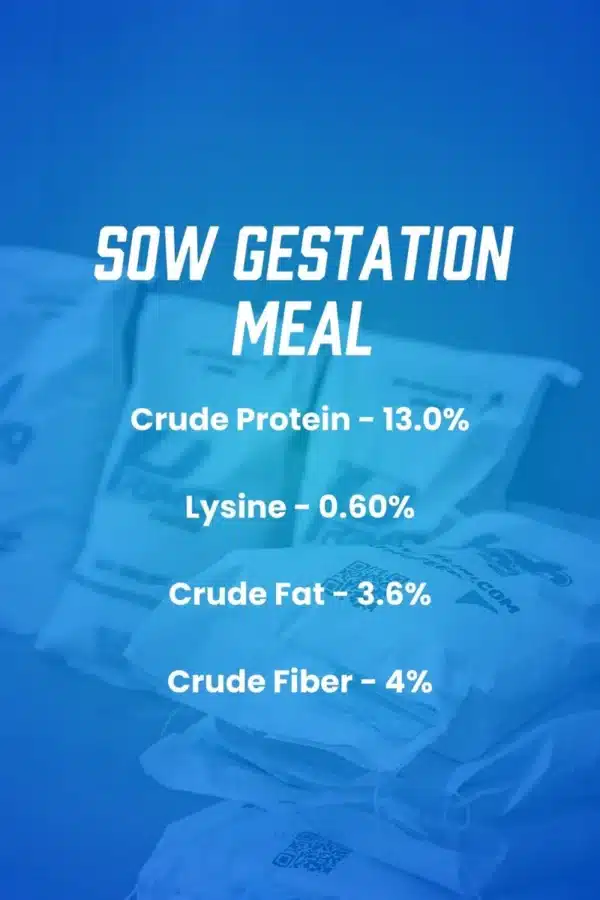 gestation product infographic