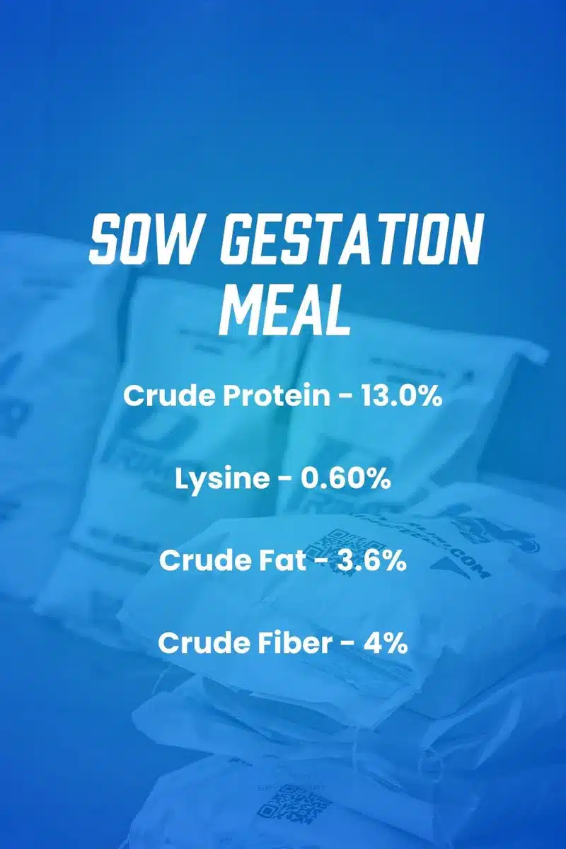 gestation product infographic