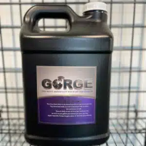 gorge