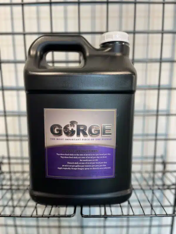 gorge