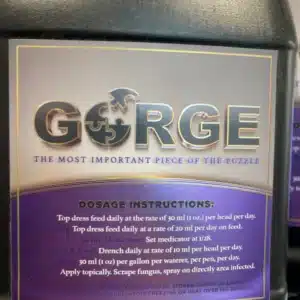 gorge