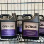 gorge