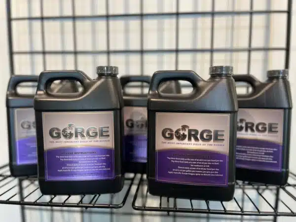 gorge