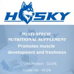 husky