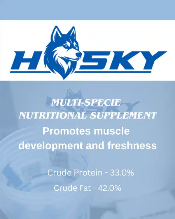 husky