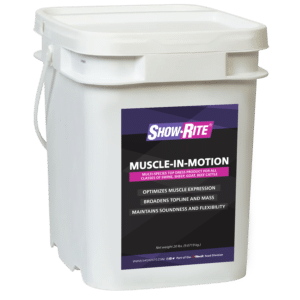 muscle n motion