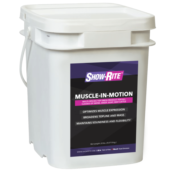 muscle n motion