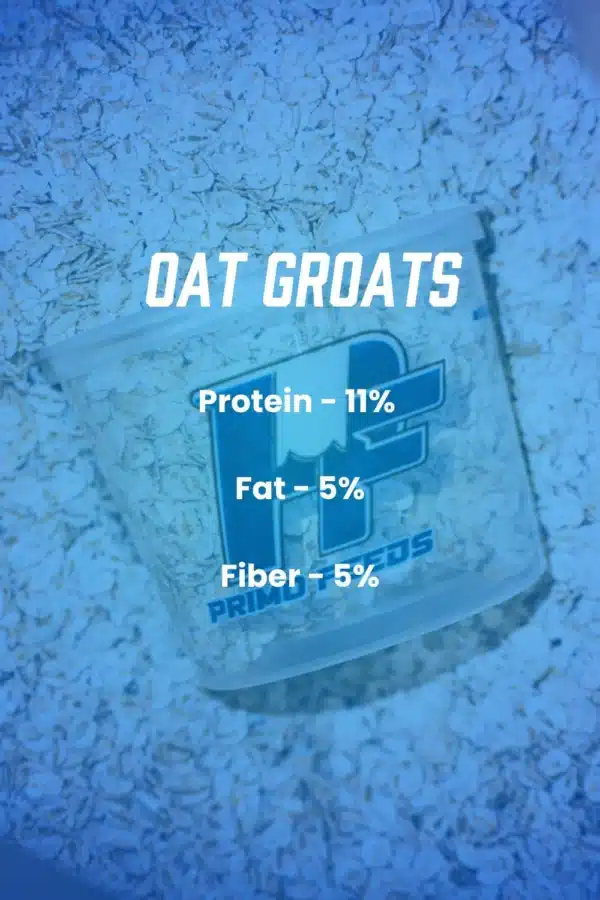 steam rolled oat groats