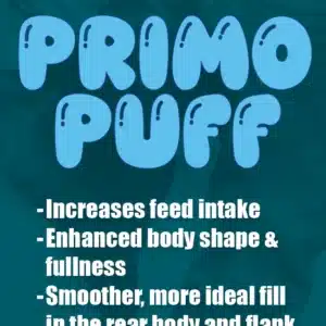 puff product infographic