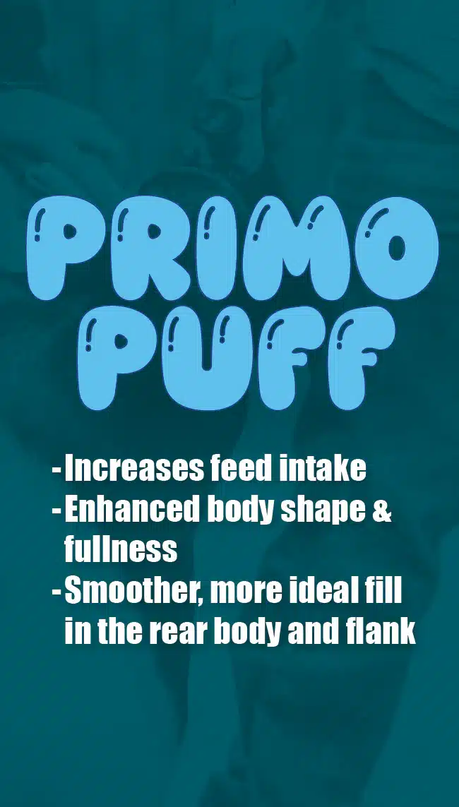 puff product infographic