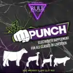 punch