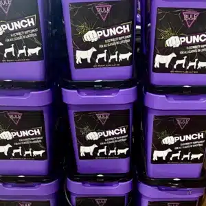 punch