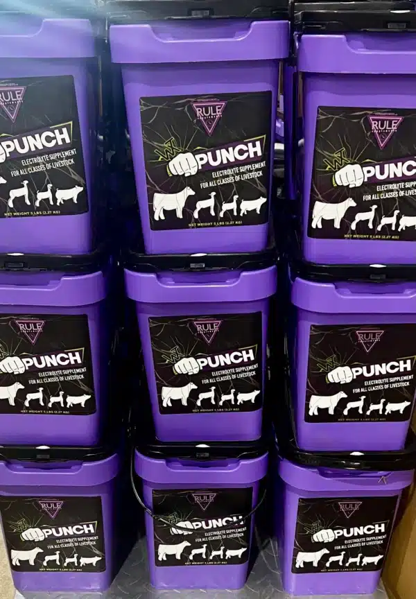punch