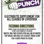 punch