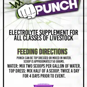 punch
