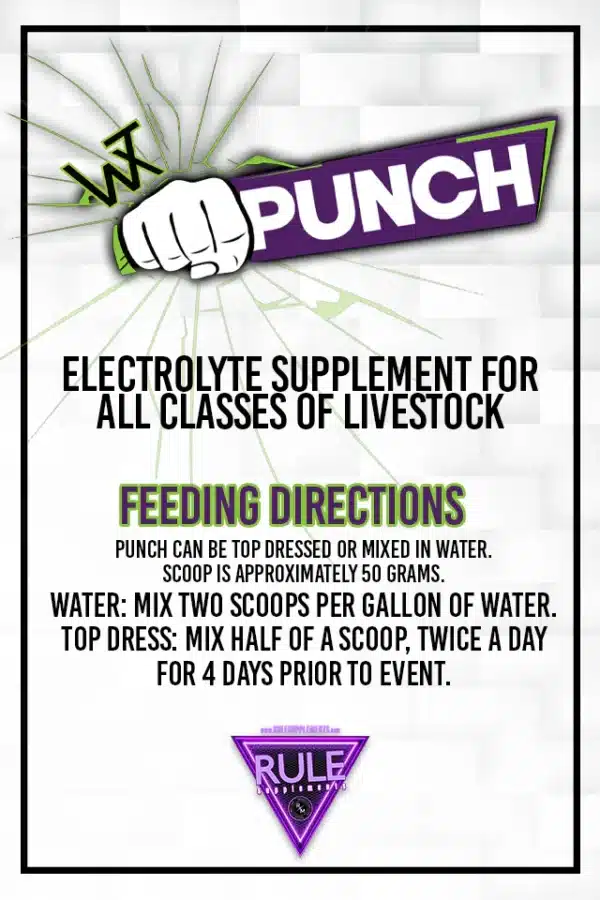 punch