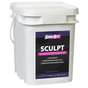 sculpt