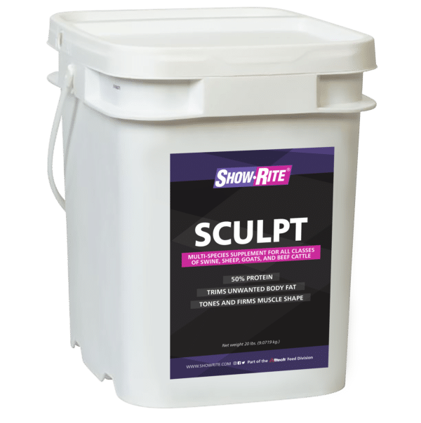 sculpt
