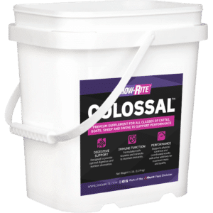 colossal