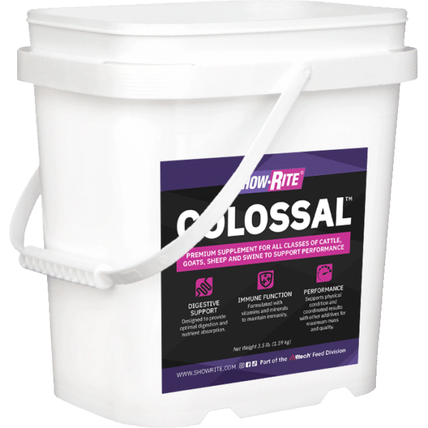 colossal