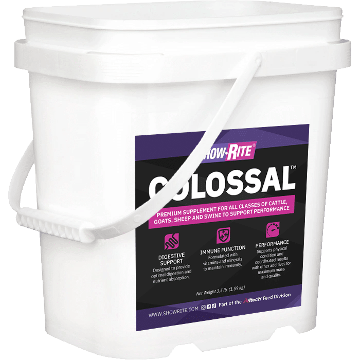 colossal