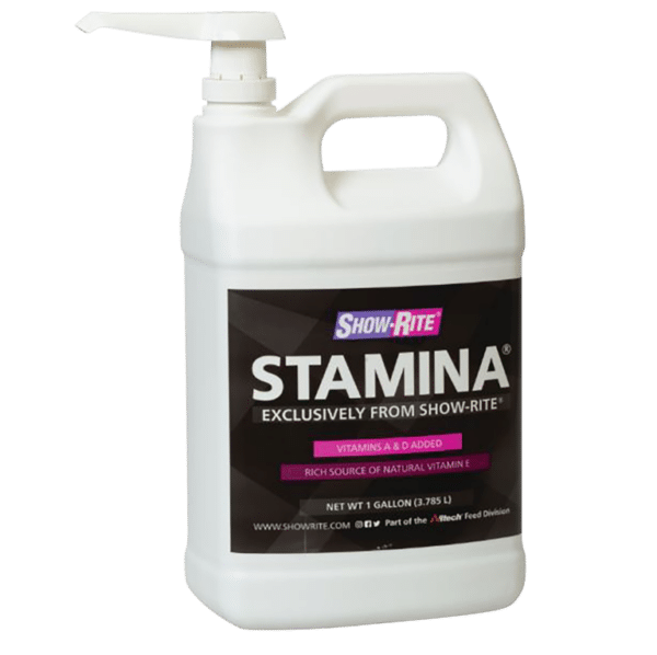 stamina