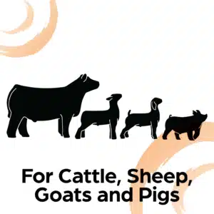 4sure