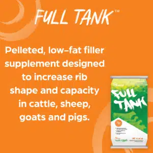 full tank