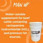 man up