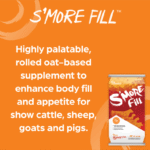 smore fill