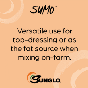 sumo