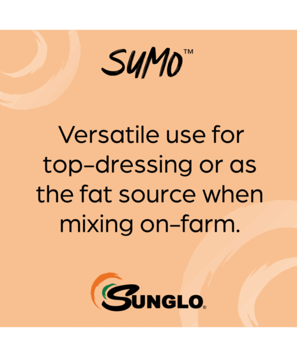 sumo