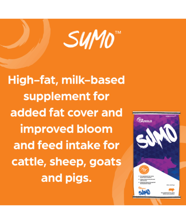 sumo