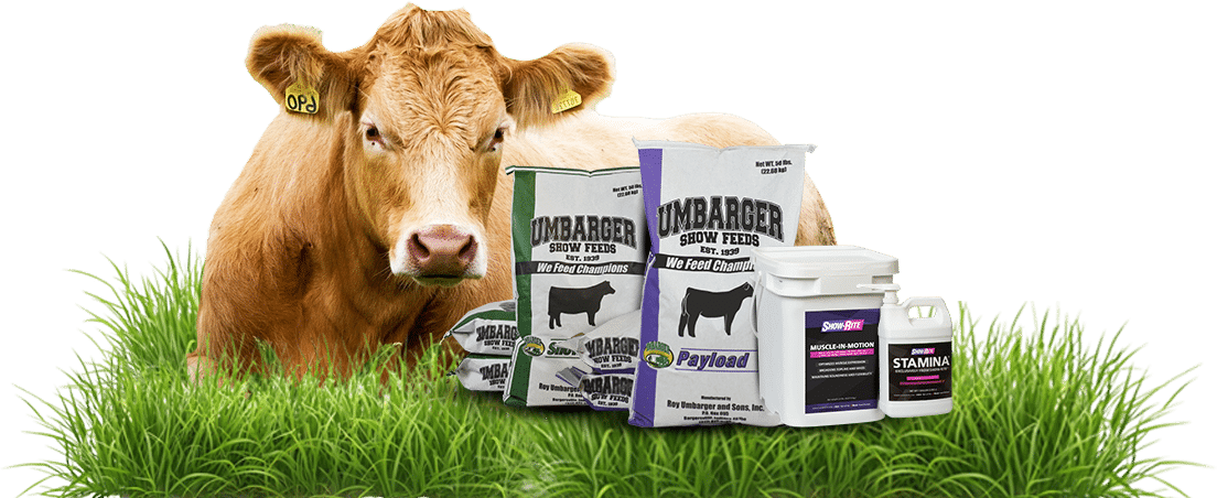 umbarger show feed