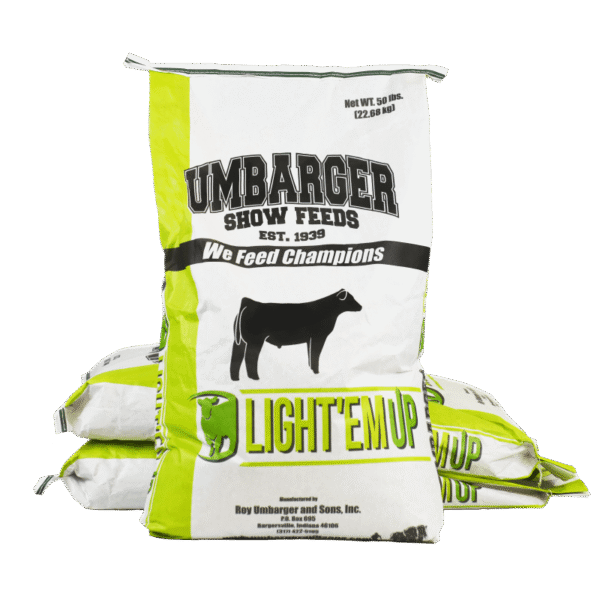 light em up