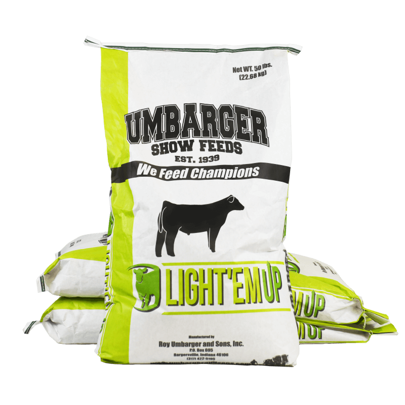 light em up